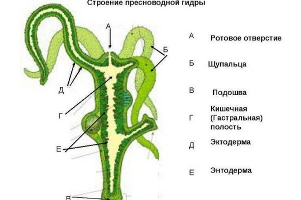 Реальная ссылка кракен