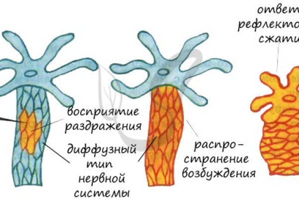 Кракен заблокировали