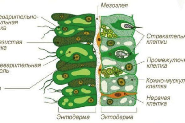 Кракен сайт kraken014 com