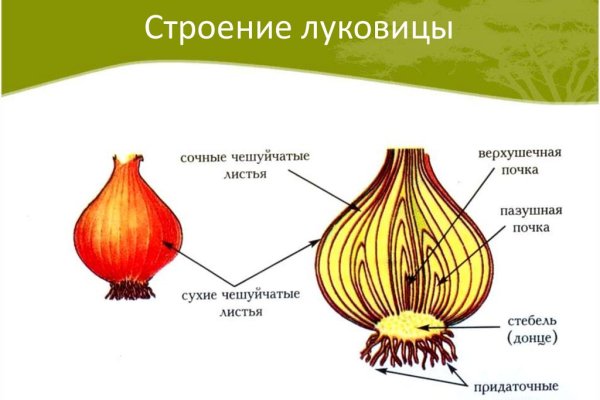 Кракен рынок сайт